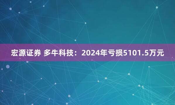 宏源证券 多牛科技：2024年亏损5101.5万元